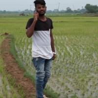 Bala Lokeshyadav