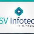 SV INFOTECH GROUP