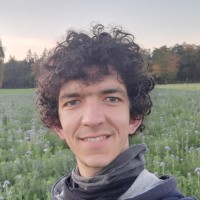 Yann Boulestreau