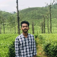 ASWIN RAJ M P