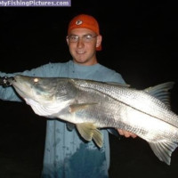 Tyler McDougal, P.E.
