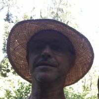 Philippe Vaillant