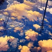 王建广