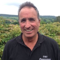 Steven Wallis