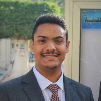 Abdullah Adel