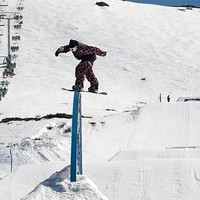 Steve Woerpel