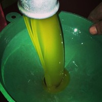 تاجر زيت زيتون فلسطين