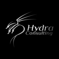 Hydra Consulting