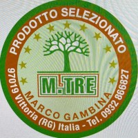 MARCO GAMBINA