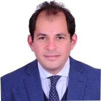Mina Nagy, Cpa, Dipifr