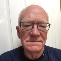 David Gibson