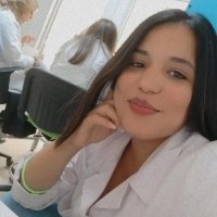 Chimo Chaim