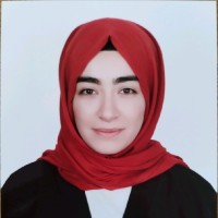 Elif Beyza E.