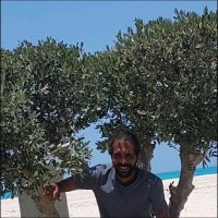 Ahmed Abdeltawab