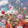 sutton B