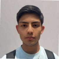 Luis Flores