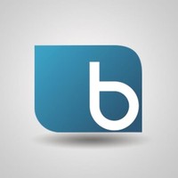 Barrons Corp USA Inc.