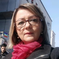 Simonetta Santini