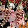 dinesh verma