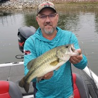curt fish