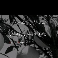 Mehran Ali Rahmani