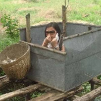 Skytangsel Tangsel