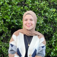 Rana Arif