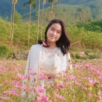 Dung Phan