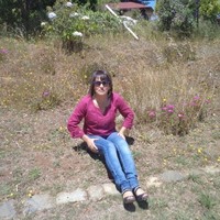Sandra M G
