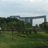 杨红闯