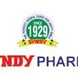 Syndy Pharma