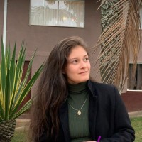 Luana Ferreira Marques Da Silva