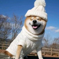 韩耀华