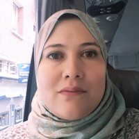 amira arafa