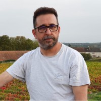 Herve Picamelot