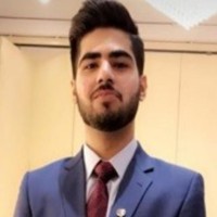 M. Ismail Shahzil