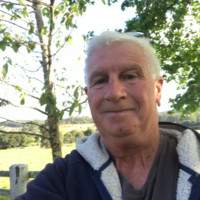 Steve Herring