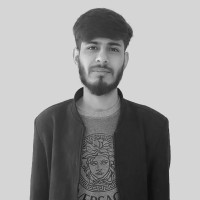Hanzla Shahid