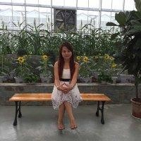 陶恒丽