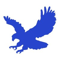 Bluehawks .