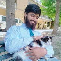 Ibrahim Bajwa