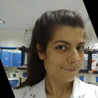 Electra Foteinopoulou