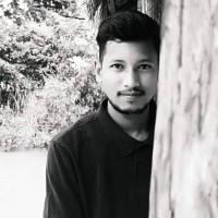 Md. Aminul Islam Emrul