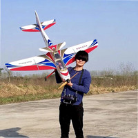 陈智冬