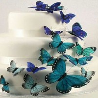 Priyanshu Singh Sahotra