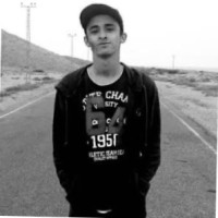 Amir Hussain