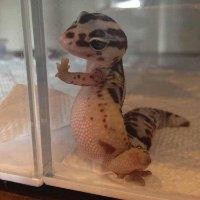 陈兴武
