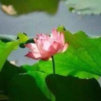 陈小斌