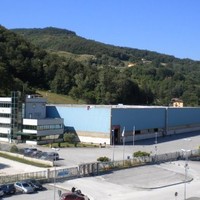 Profilumbra borgnini