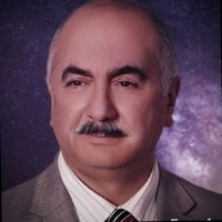 Vahit Asil